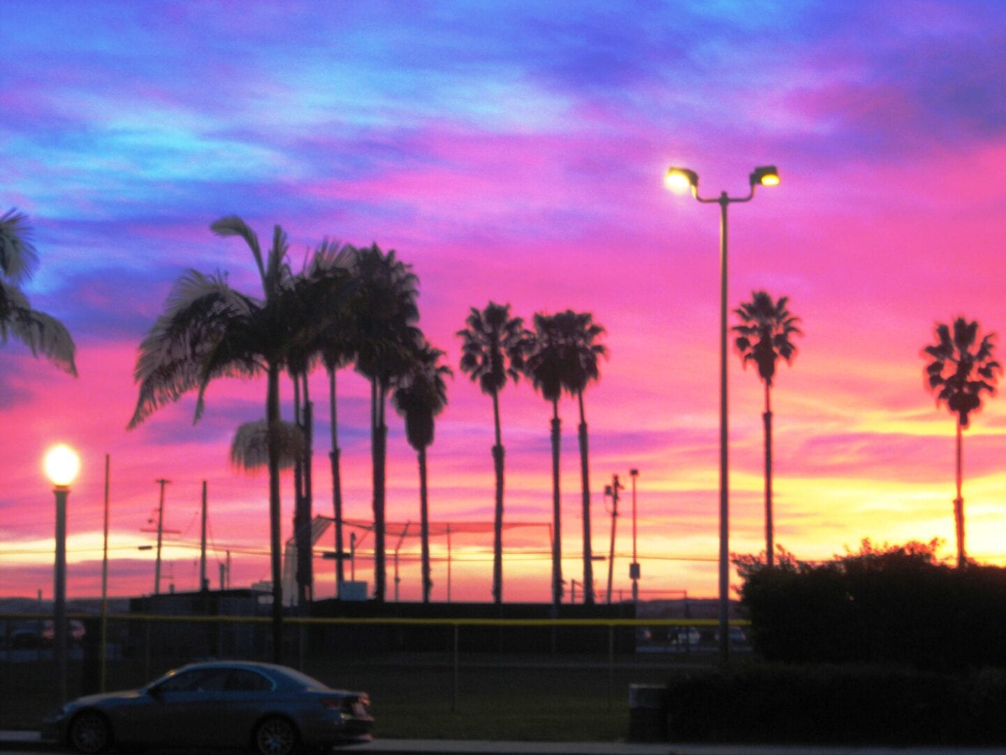 A car parked on the side of a road near palm trees.