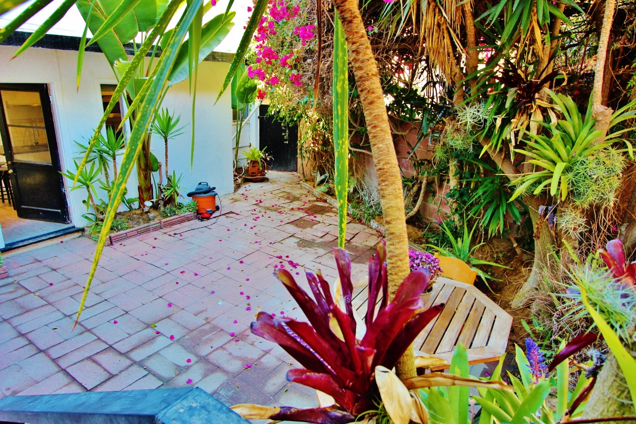 A garden with a bench and plants in the background.