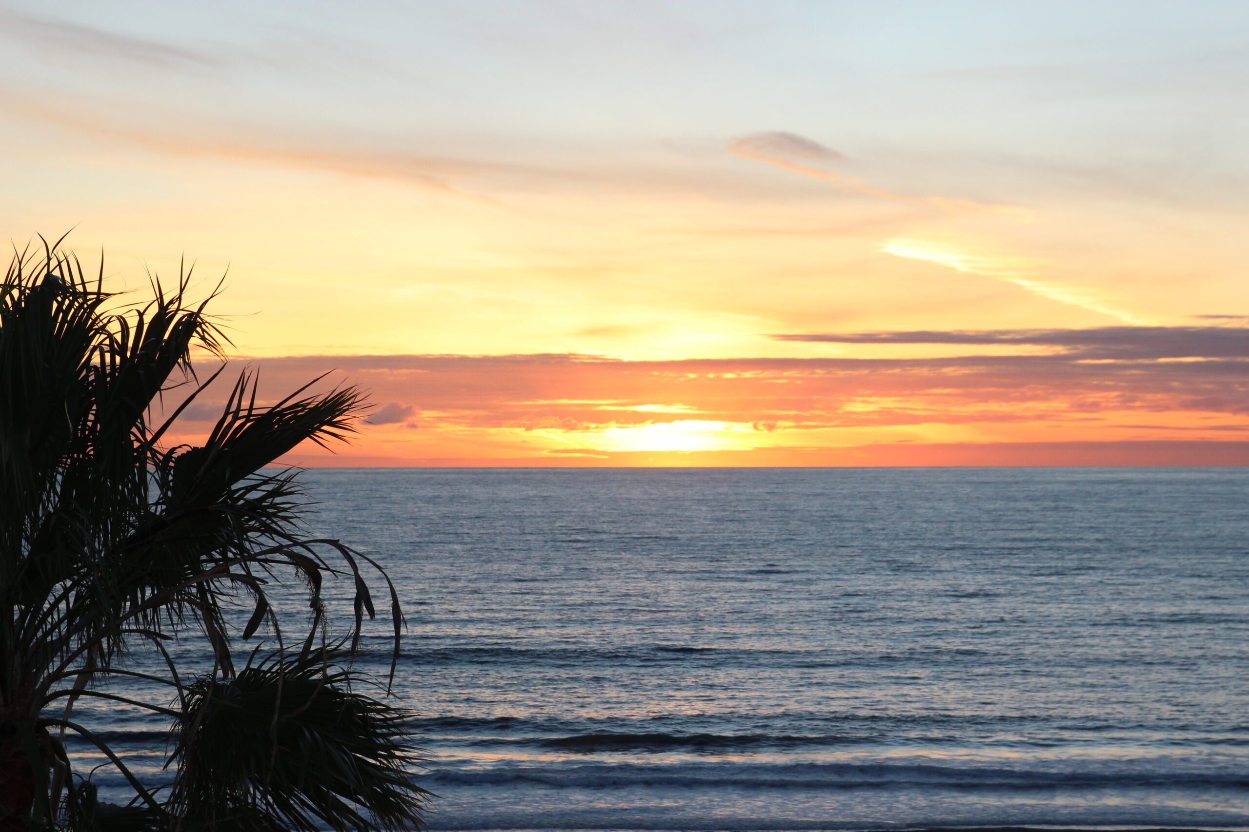 A sunset over the ocean with palm trees in front.