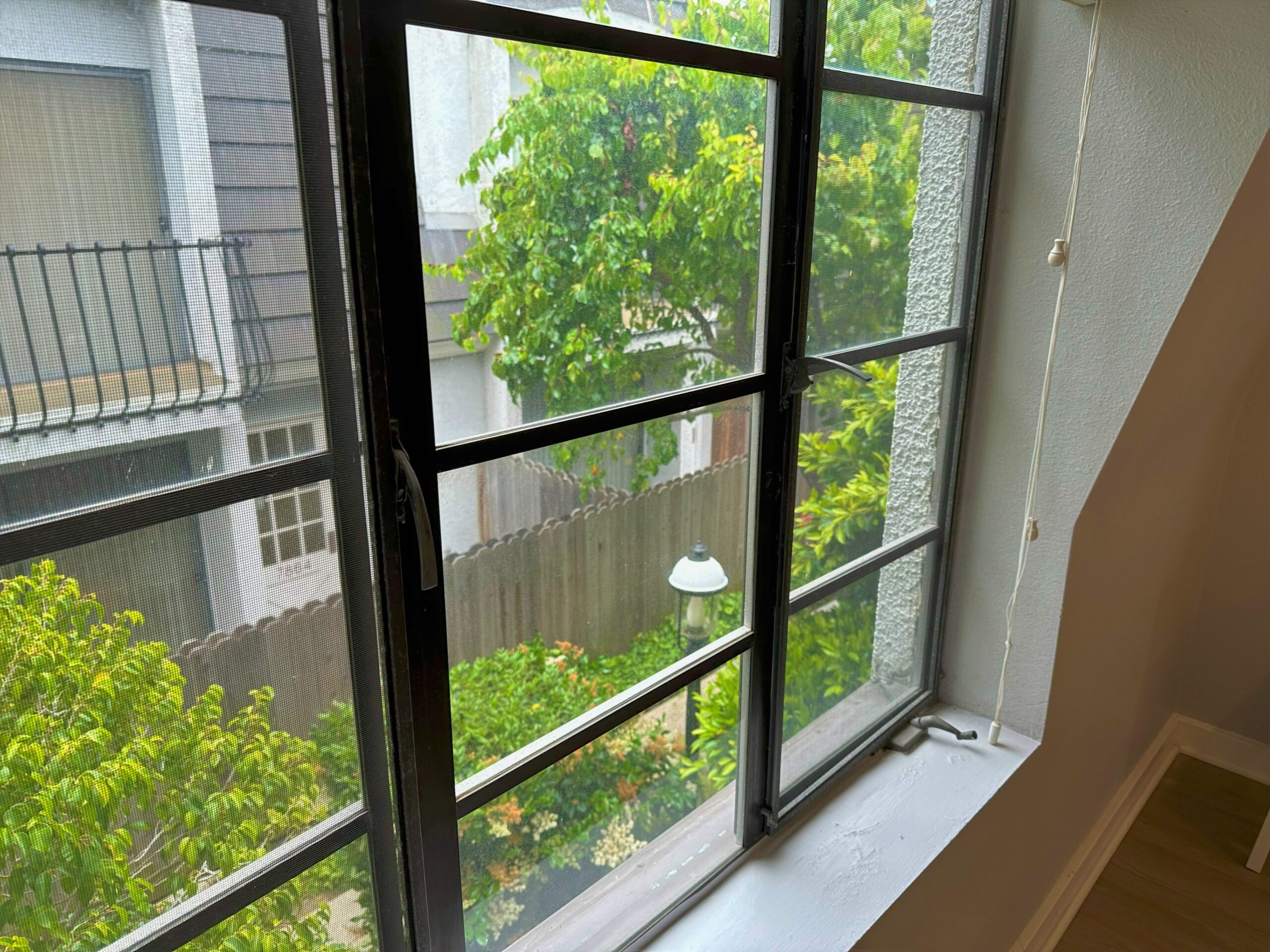 A window with a view of the backyard.