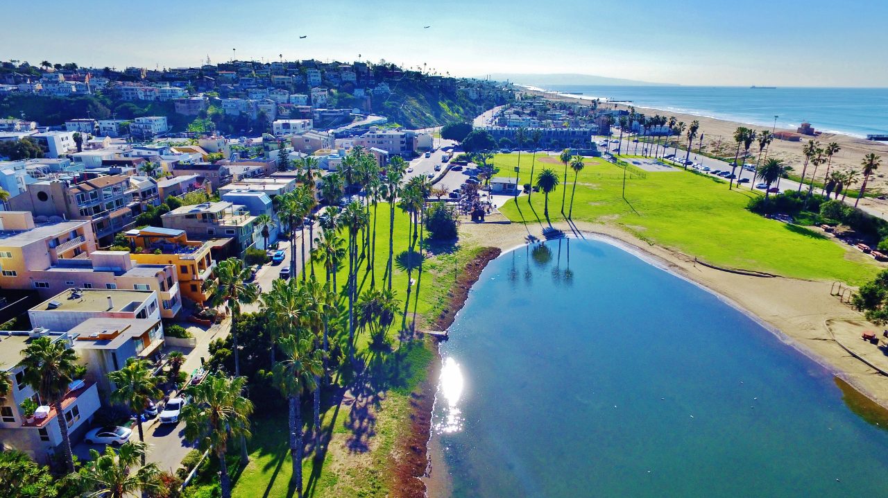 A view of the water and palm trees from above.