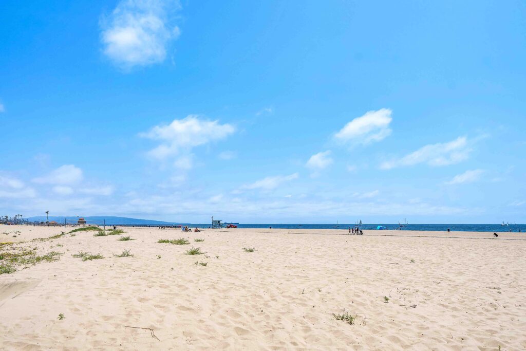 15 63rd Ave 31 15 63rd Ave 31